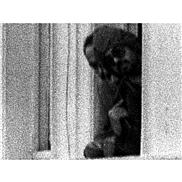 Great SAS MissionsEpisode5:Liberating the Iranian Embassy